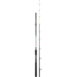 ENSEMBLE MER A SOUTENIR GIRELLE 2M10 + MOULINET SUNHOPPER 401FD