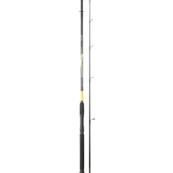 ENSEMBLE SPINNING EMBOITEMENT FISH INSTINCT FW20 SPINCAST + MOULINET MEKA EFI RD