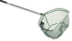 EPUISETTE BASSIN