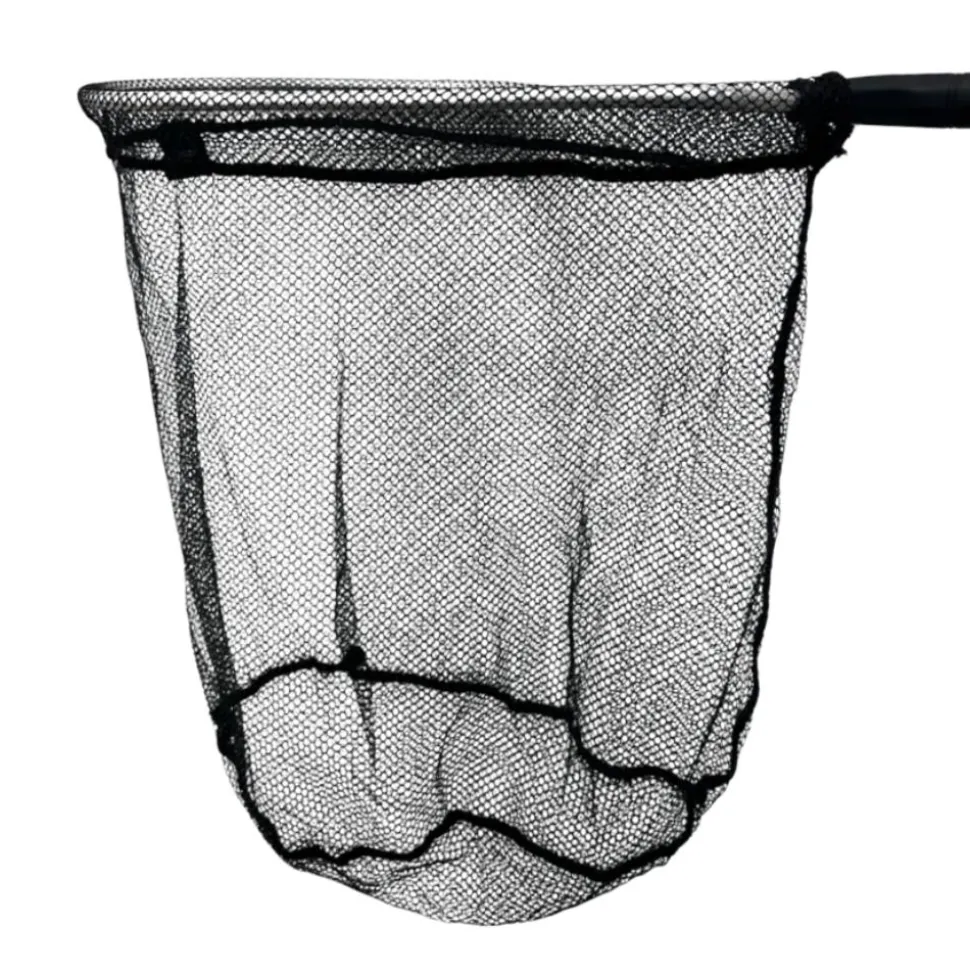 EPUISETTE RAQUETTE TRUITE