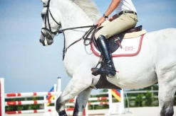 ETRIERS ADULTE REFLEX