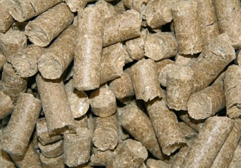 FRIANDISE DELIZIA 1KG