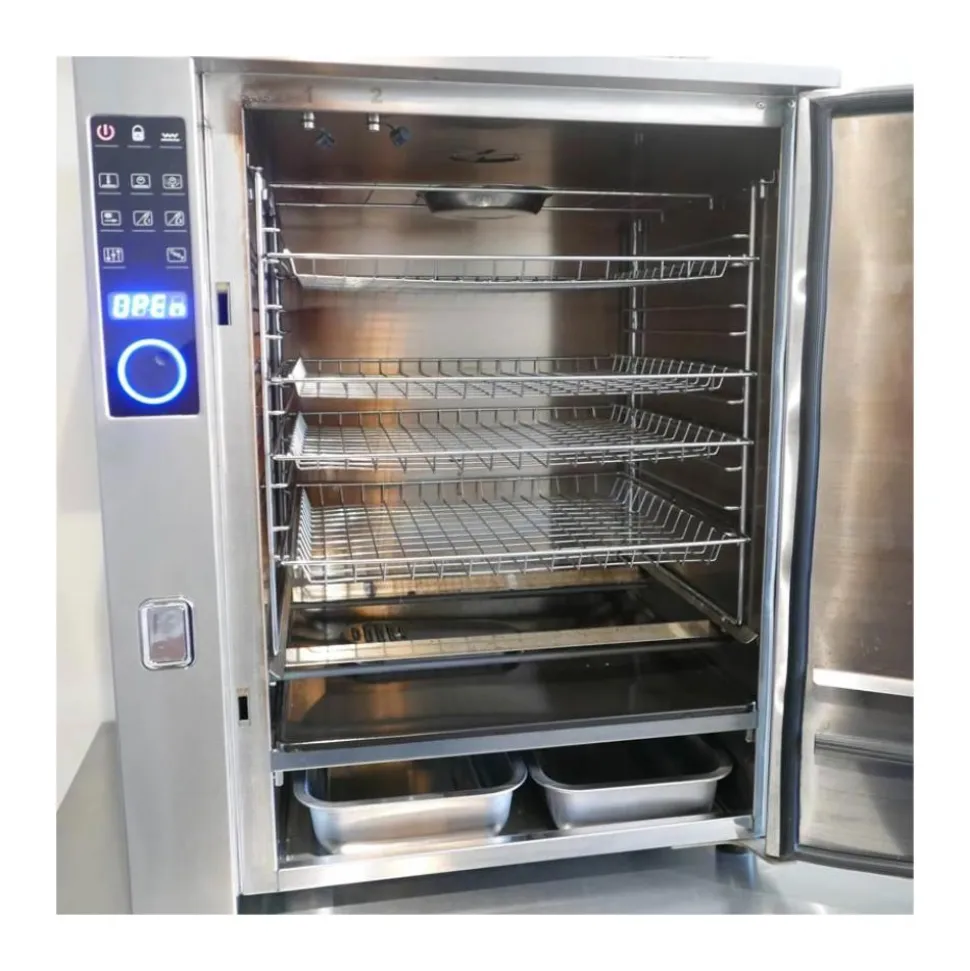 FUMOIR PROFESSIONNEL P10 1000W