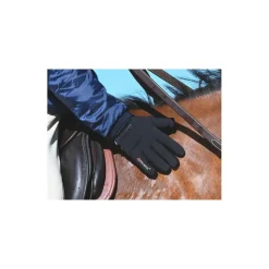 GANTS POLARTEC NOIRS