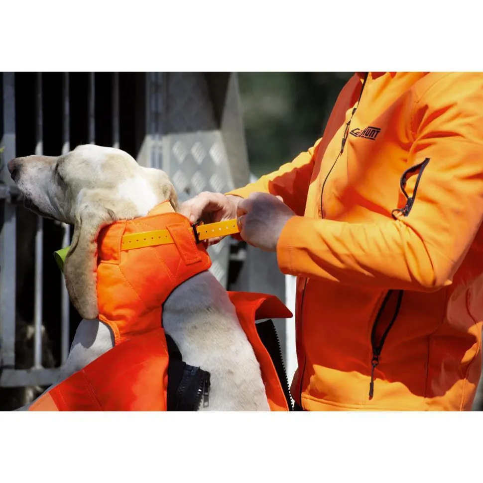 GILET PROTECT PRO L'ORIGINAL