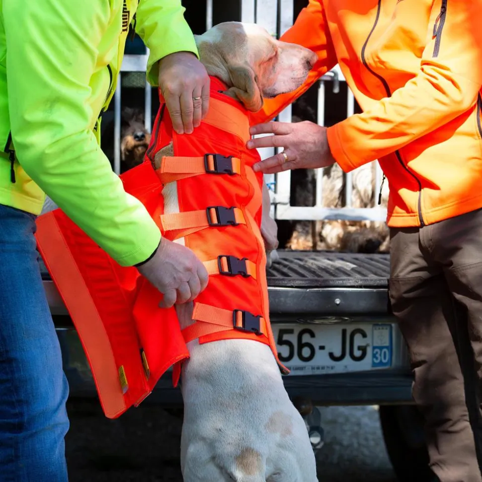 GILET DOG ARMOR V3 ORANGE