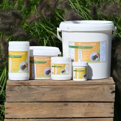 GRAISSE NATURAL'COAT INCOLORE