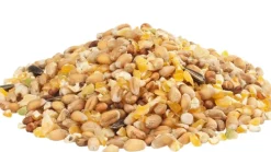 GRA-MIX POULES D'ARDENNES 20KG
