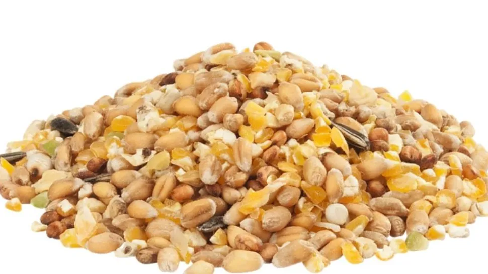 GRA-MIX POULES D'ARDENNES 20KG