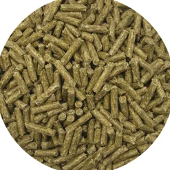 GRANULES ADULT 20KG