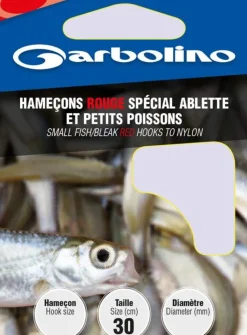 HAMECON MONTE ABLETTE ET PETITS POI