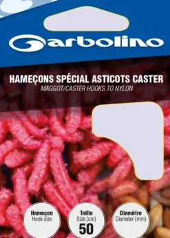 HAMECON MONTE ASTICOTS CASTERS