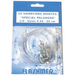 HAMECON MONTE PALANGRE