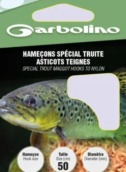 HAMECON MONTE TRUITE ASTICOTS TEIGN