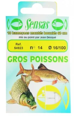 HAMECON MONTES GROS POISSONS