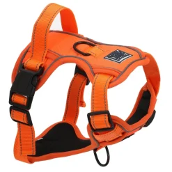 HARNAIS REFLECHISSANT ORANGE