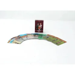 JEU DE 7 FAMILLES T&E CAVALIERS