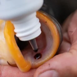 KIT CARP CARE