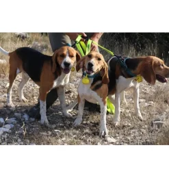 LAISSE TRIPLEUR HUNTER 1,2M JAUNE