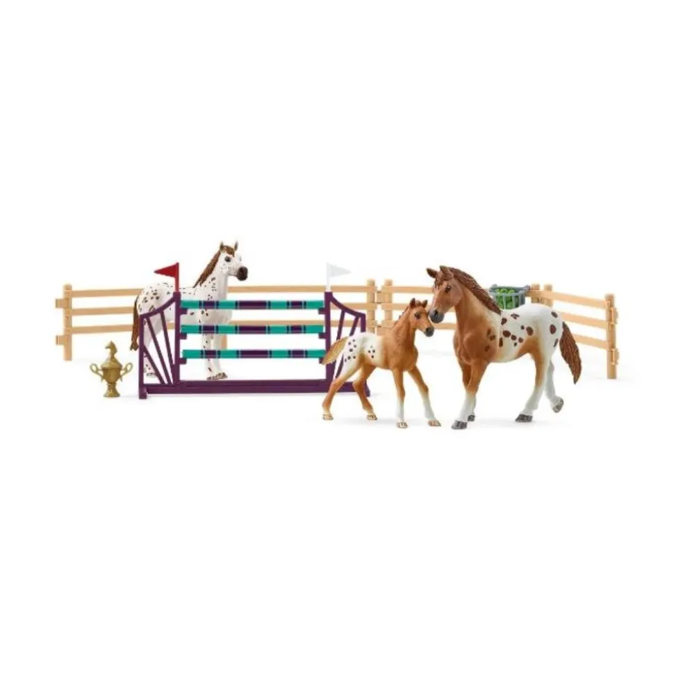 LENTRAÎNEMENT AU CONCOURS DHORSE CLUB