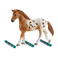 LENTRAÎNEMENT AU CONCOURS DHORSE CLUB