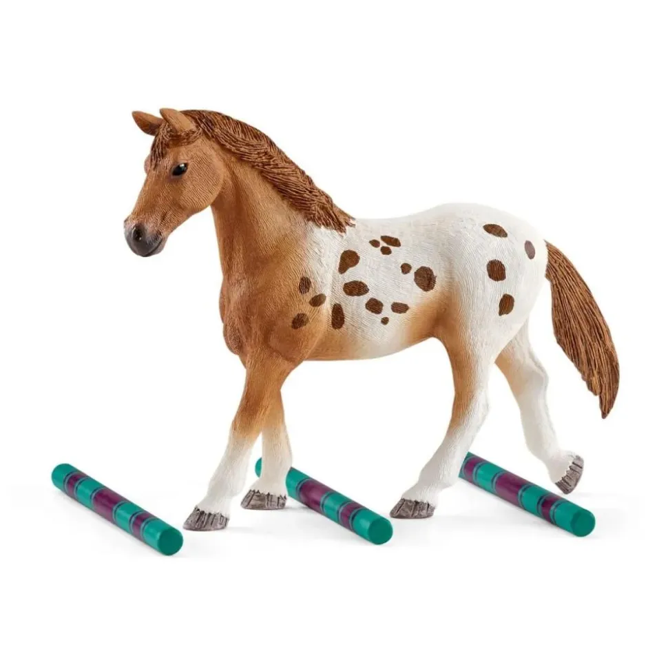 LENTRAÎNEMENT AU CONCOURS DHORSE CLUB