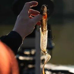 LEURRE SOUPLE SLICK EEL LOADED 21CM