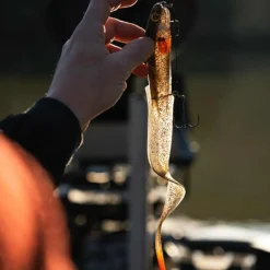 LEURRE SOUPLE SLICK EEL LOADED 35CM