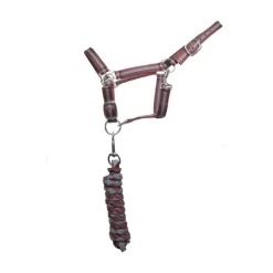 LICOL + LONGE BORDEAUX/GRIS