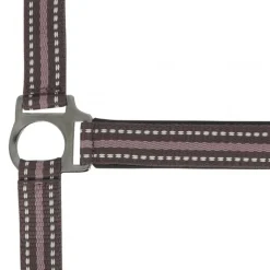 LICOL BOUCLERIE NOIRE PONEY