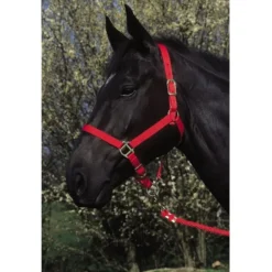 LICOL NYLON FIRST ROUGE