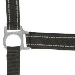 LICOL REFLECTIVE CHEVAL
