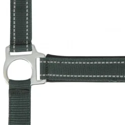 LICOL REFLECTIVE CHEVAL