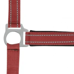 LICOL REFLECTIVE COB