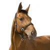 LICOL REFLECTIVE PONEY