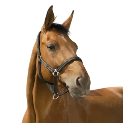 LICOL REFLECTIVE PONEY