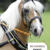 LIVRE 50 CONSEILS POUR L'ATTELAGE