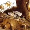 LIVRE 365 HISTOIRES DE CHASSE