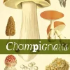 LIVRE CHAMPIGNONS