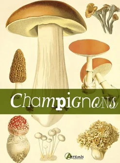 LIVRE CHAMPIGNONS