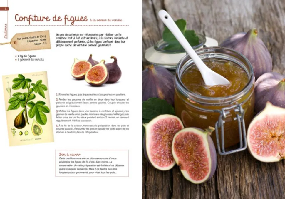 LIVRE CONFITURES GELEES 4 SAISONS