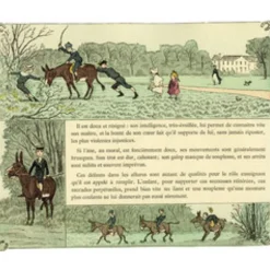 LIVRE L'EQUITATION PAR CRAFTY