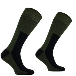 MI BAS TECHNIQUE FORET