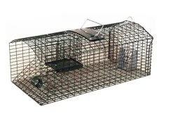 NASSE A RATS MULTIPRISES