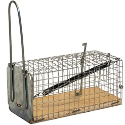 NASSE SOURIS 1 ENTREE 12X6X6
