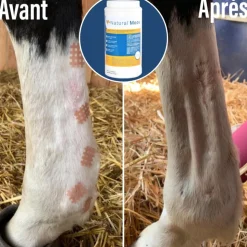 NATURAL'MOOV