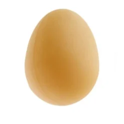 OEUF FACTICE CAOUTCHOUC