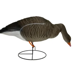 OIE CENDREE HD SUR PATTES MANGEUSE