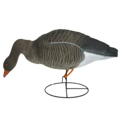 OIE CENDREE HD SUR PATTES MANGEUSE