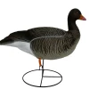 OIE CENDREE HD SUR PATTES GAGNAGE